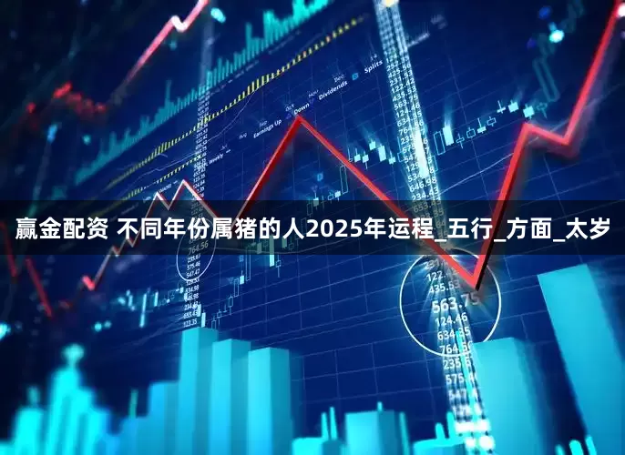 赢金配资 不同年份属猪的人2025年运程_五行_方面_太岁