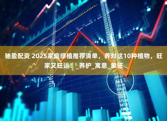 驰盈配资 2025家庭绿植推荐清单，养对这10种植物，旺家又旺运！_养护_寓意_象征