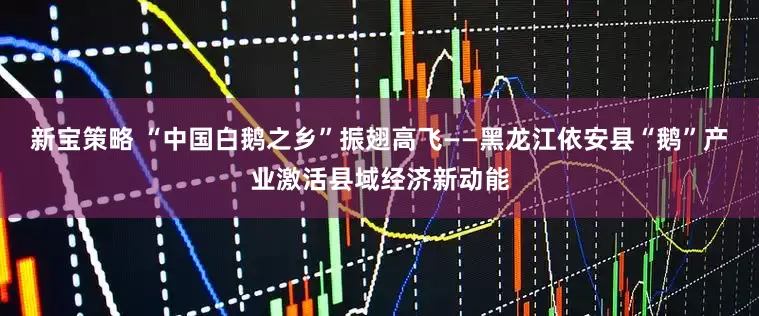 新宝策略 “中国白鹅之乡”振翅高飞——黑龙江依安县“鹅”产业激活县域经济新动能