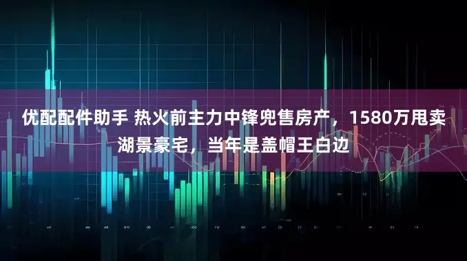 优配配件助手 热火前主力中锋兜售房产，1580万甩卖湖景豪宅，当年是盖帽王白边