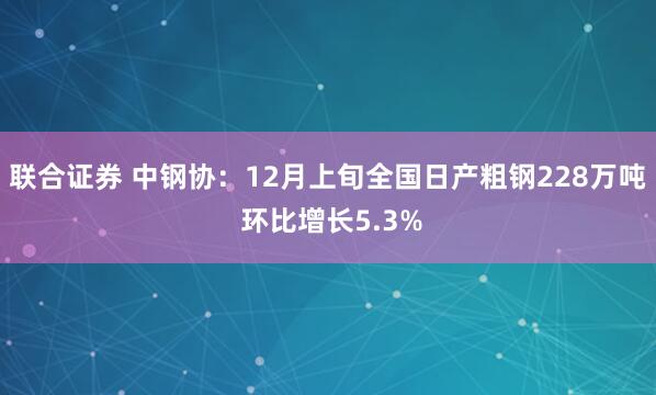 联合证券 中钢协：12月上旬全国日产粗钢228万吨 环比增长5.3%