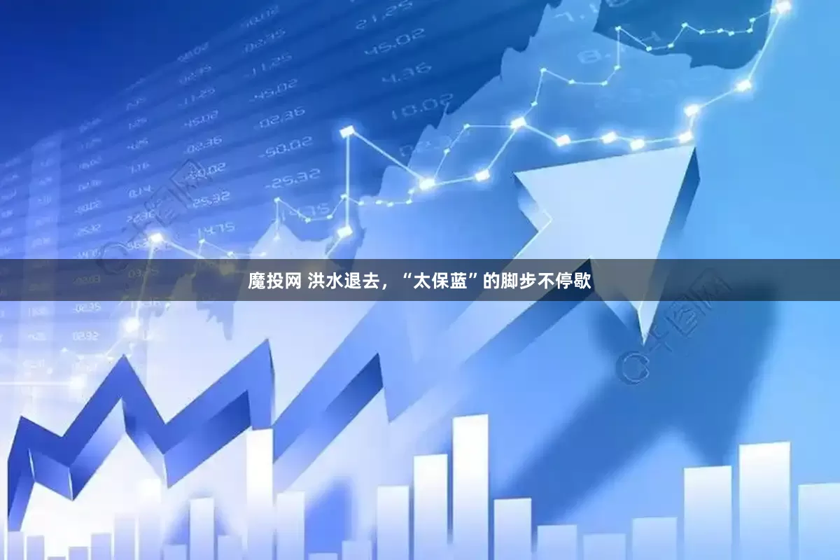 魔投网 洪水退去，“太保蓝”的脚步不停歇