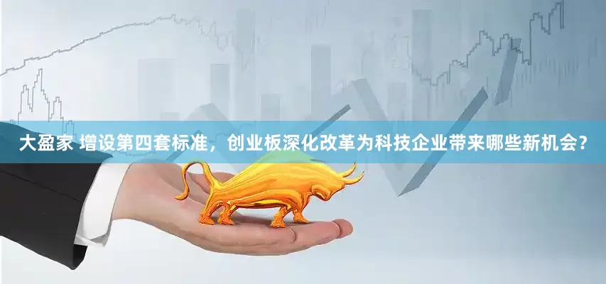 大盈家 增设第四套标准，创业板深化改革为科技企业带来哪些新机会？